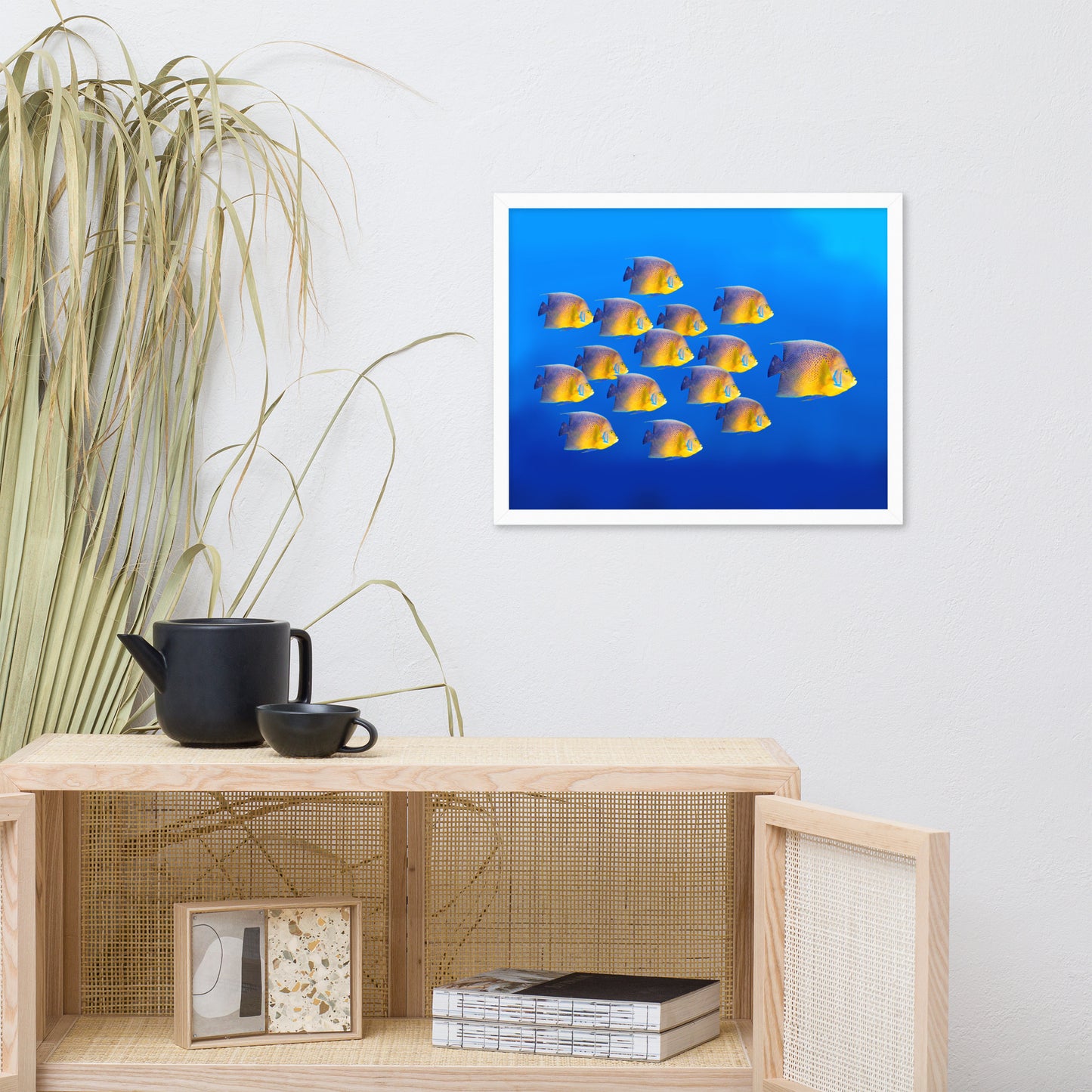 School of Tropical Coral Fish Angelfish Isolated in Blue Ocean Water Animal Wildlife Photograph Framed Wall Art Prints