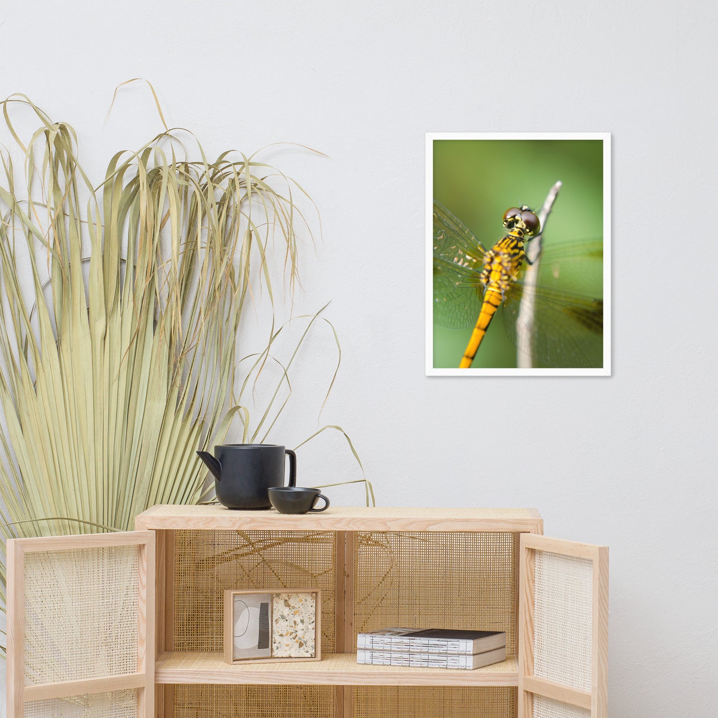 Dragonfly at Bombay Hook Animal Wildlife Photograph Framed Wall Art Prints