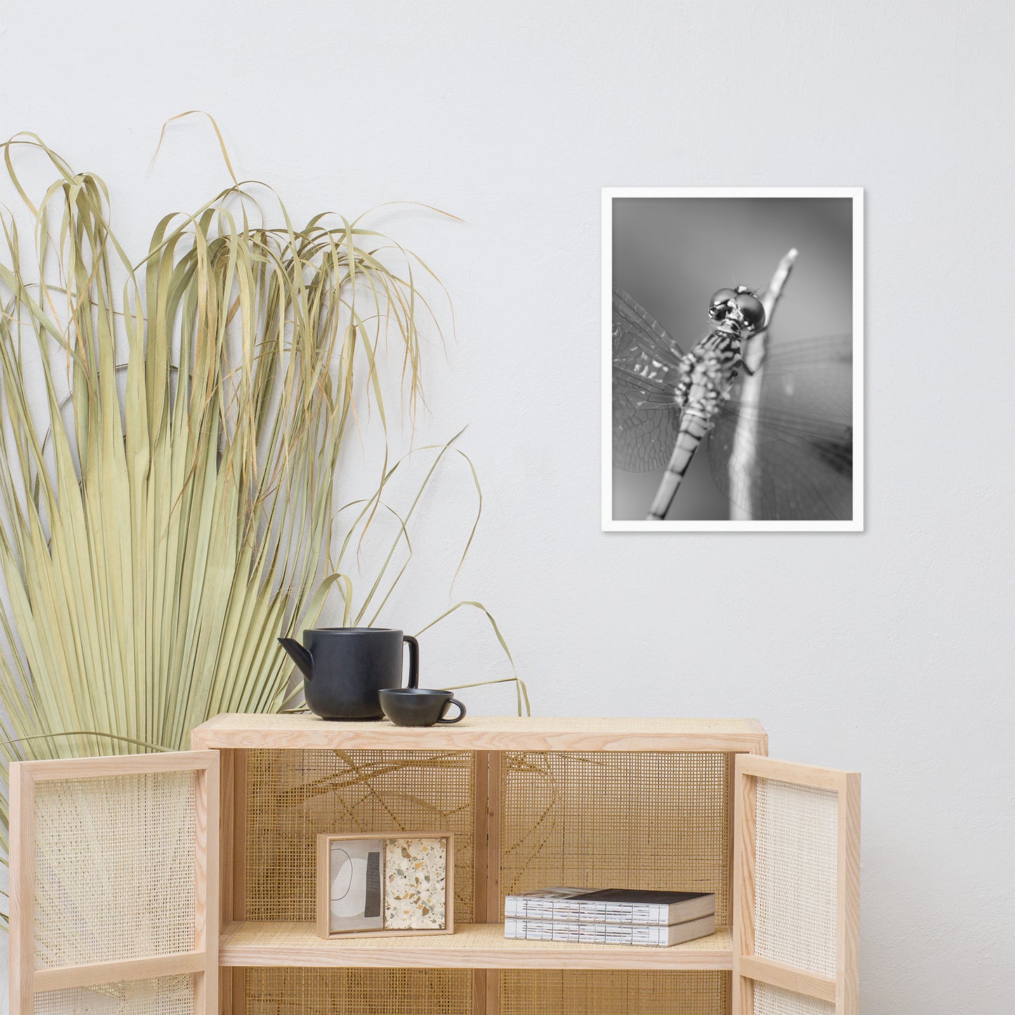 Dragonfly at Bombay Hook in Black and White Animal Wildlife Photograph Framed Wall Art Prints