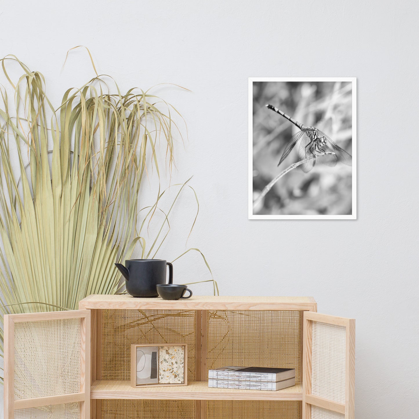 Dragonfly in Black and White Animal Wildlife Photograph Framed Wall Art Prints