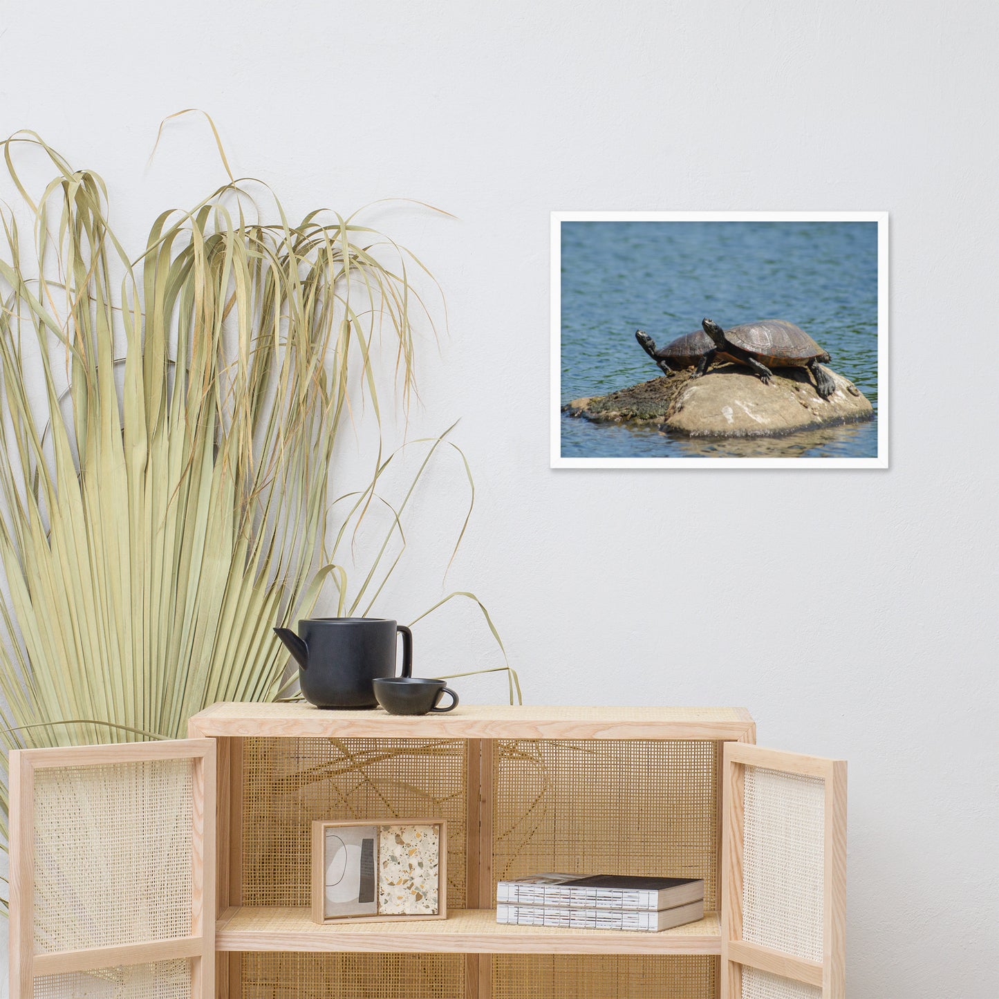 Sunshine Rock with Turtles Animal Wildlife Photograph Framed Wall Art Prints