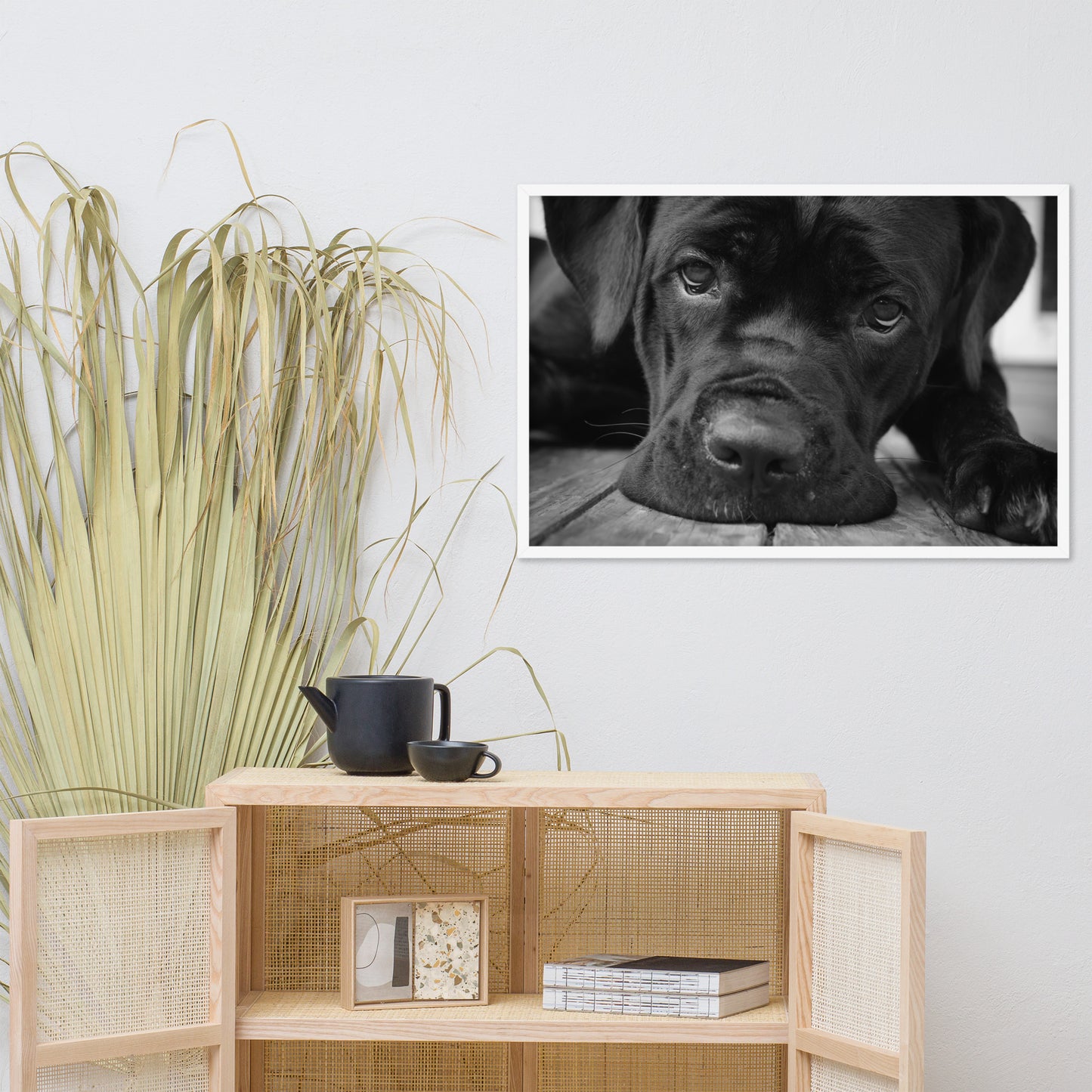 Cane Corso on Porch Animal Dog Black & White Framed Wall Art Prints
