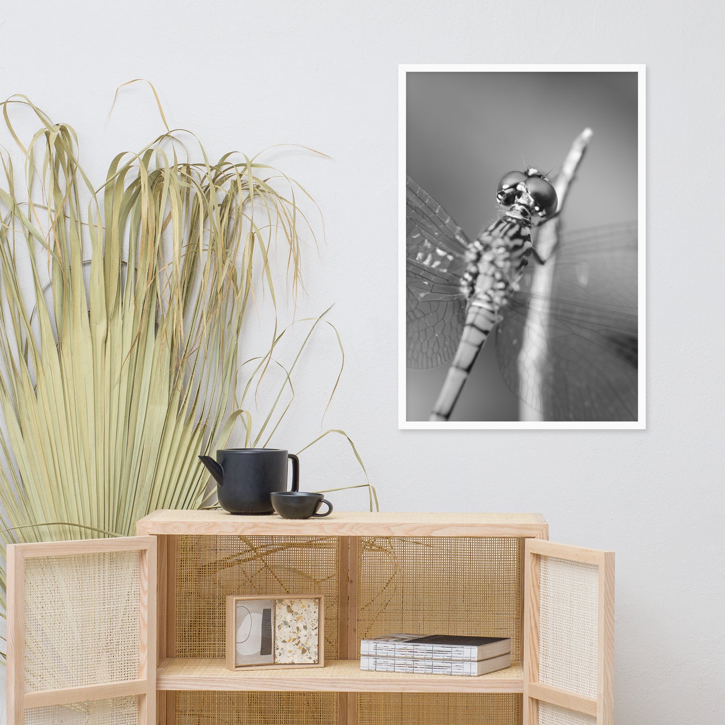 Dragonfly at Bombay Hook in Black and White Animal Wildlife Photograph Framed Wall Art Prints