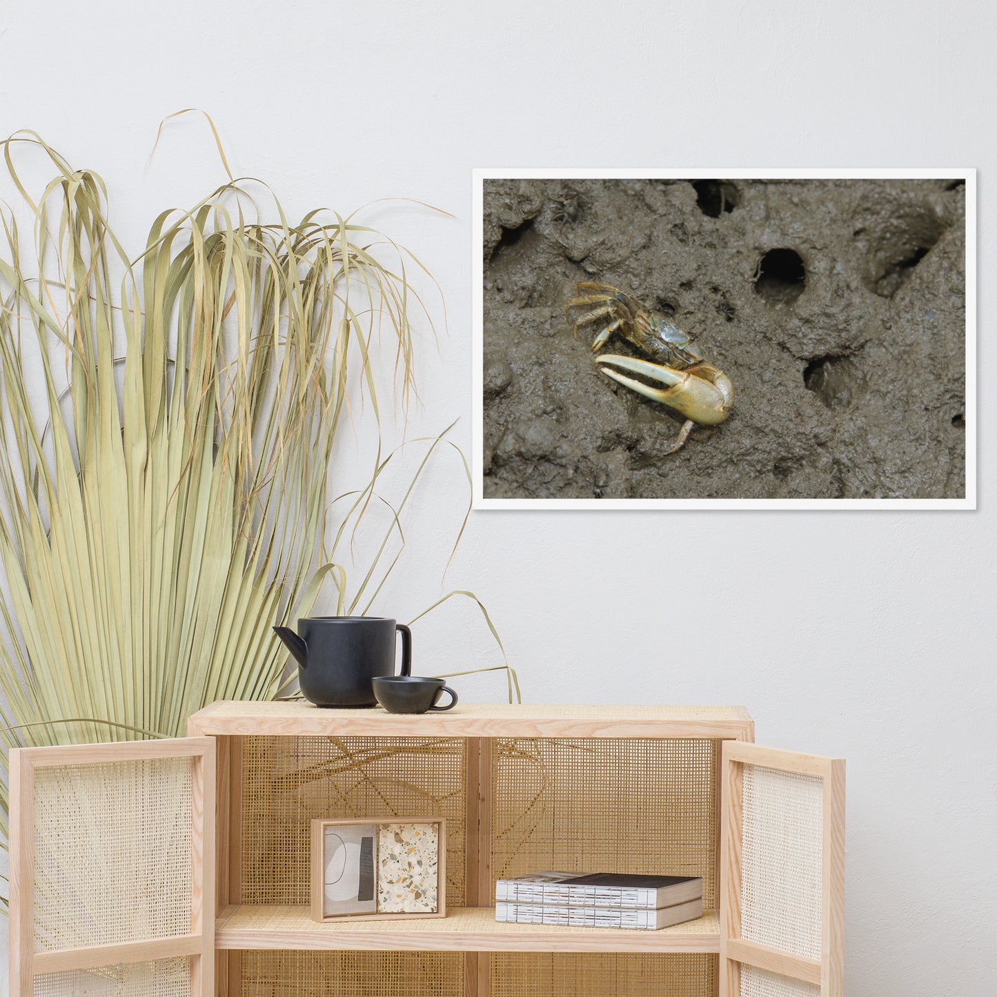 Fiddler Crab Animal Wildlife Photograph Framed Wall Art Prints