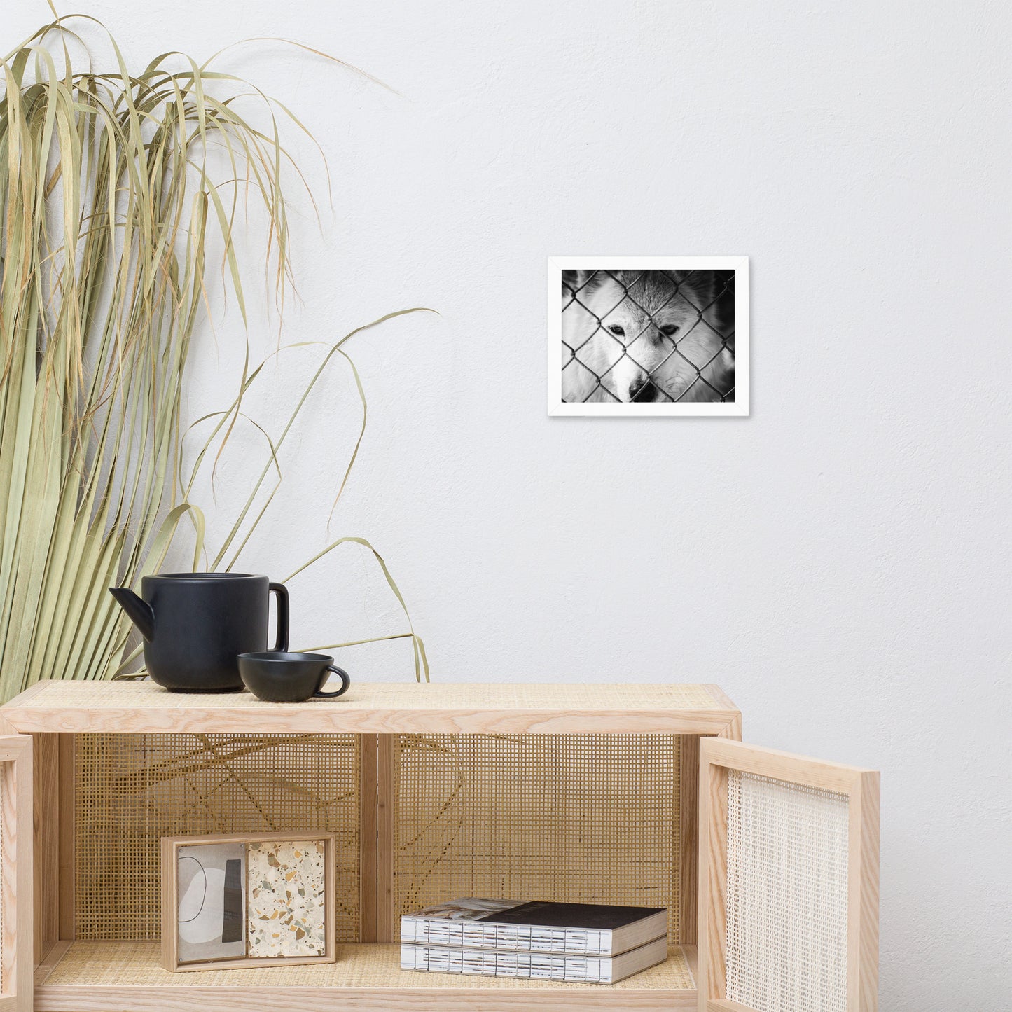 Dreams of Freedom in Black and White Animal Wildlife Photograph Framed Wall Art Prints