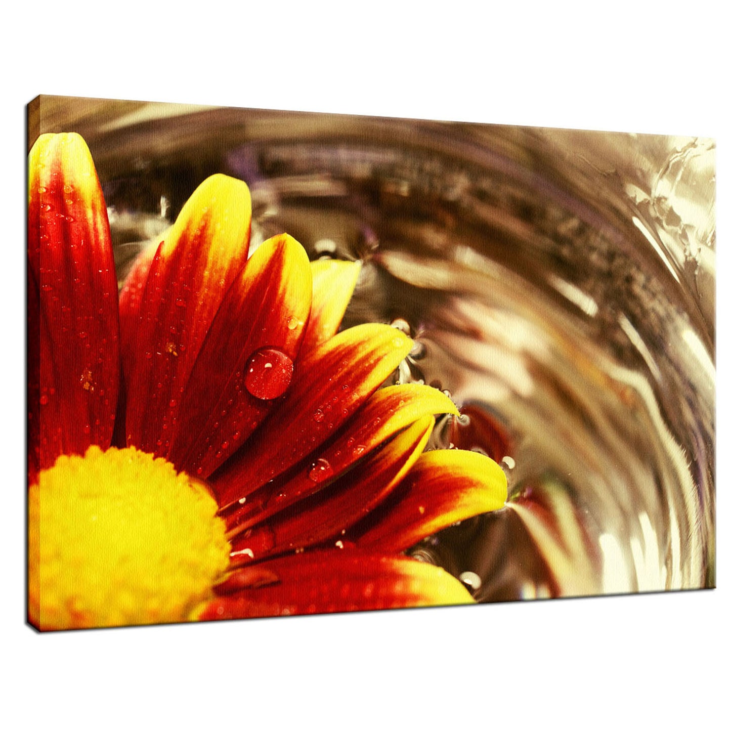 Floating Mum Nature / Floral Photo Fine Art Canvas Wall Art Prints - PIPAFINEART