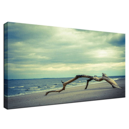 The Cove Coastal Landscape Photo Fine Art Canvas Wall Art Prints  - PIPAFINEART
