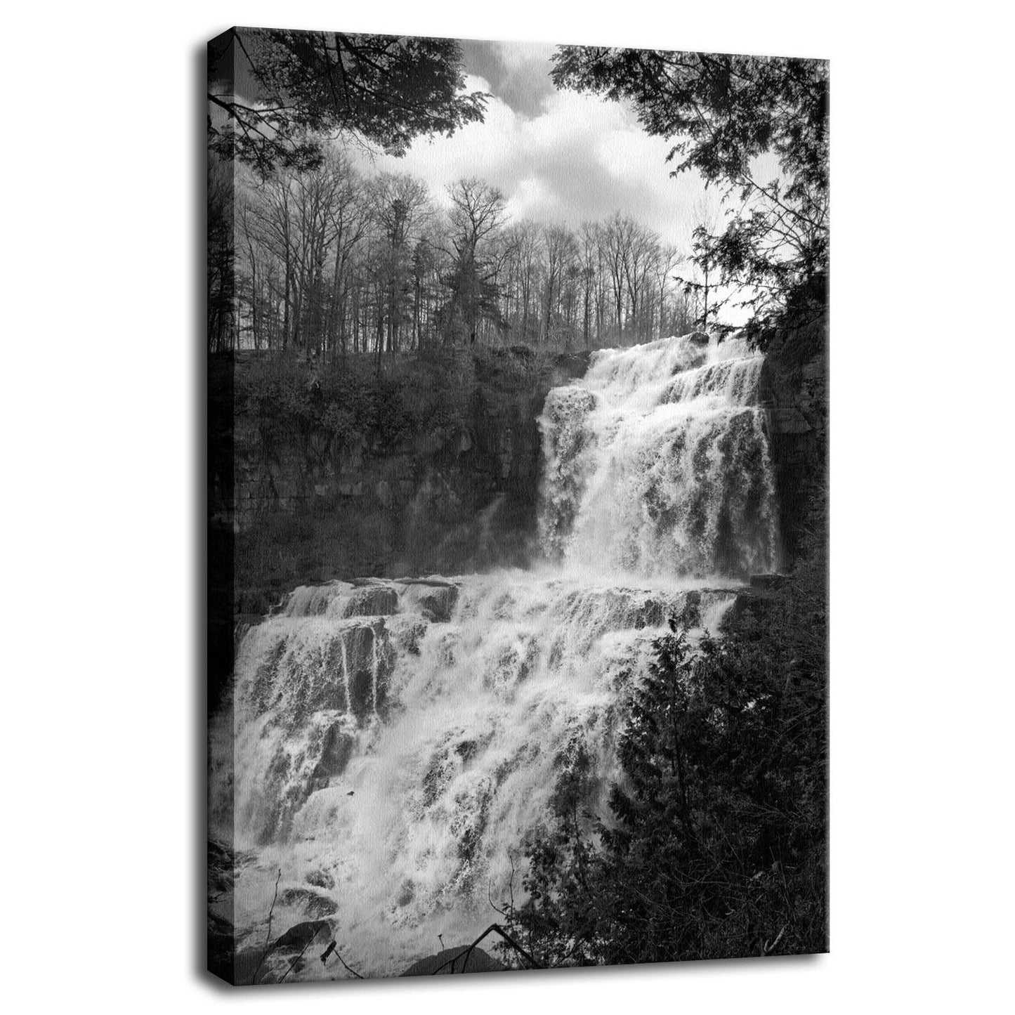 Chittenango Waterfall in Black and White Fine Art Canvas Wall Art Prints - PIPAFINEART