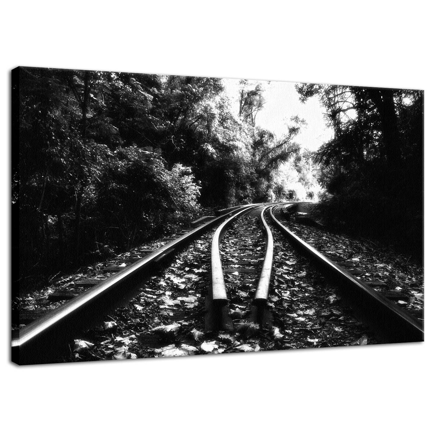 Lead Me Into The Light in Black and White Rural Landscape Fine Art Canvas Wall Art Prints - PIPAFINEART