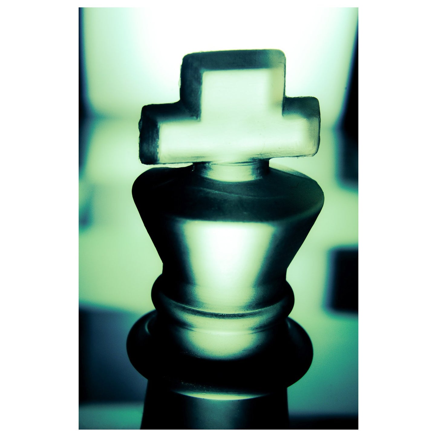 Heads of Kings in Green Abstract Photo Fine Art Canvas & Unframed Wall Art Prints  - PIPAFINEART