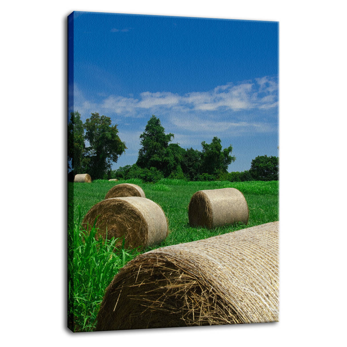 Hay Whatcha Doin in the Field Landscape Photo Fine Art Canvas Wall Art Prints - PIPAFINEART