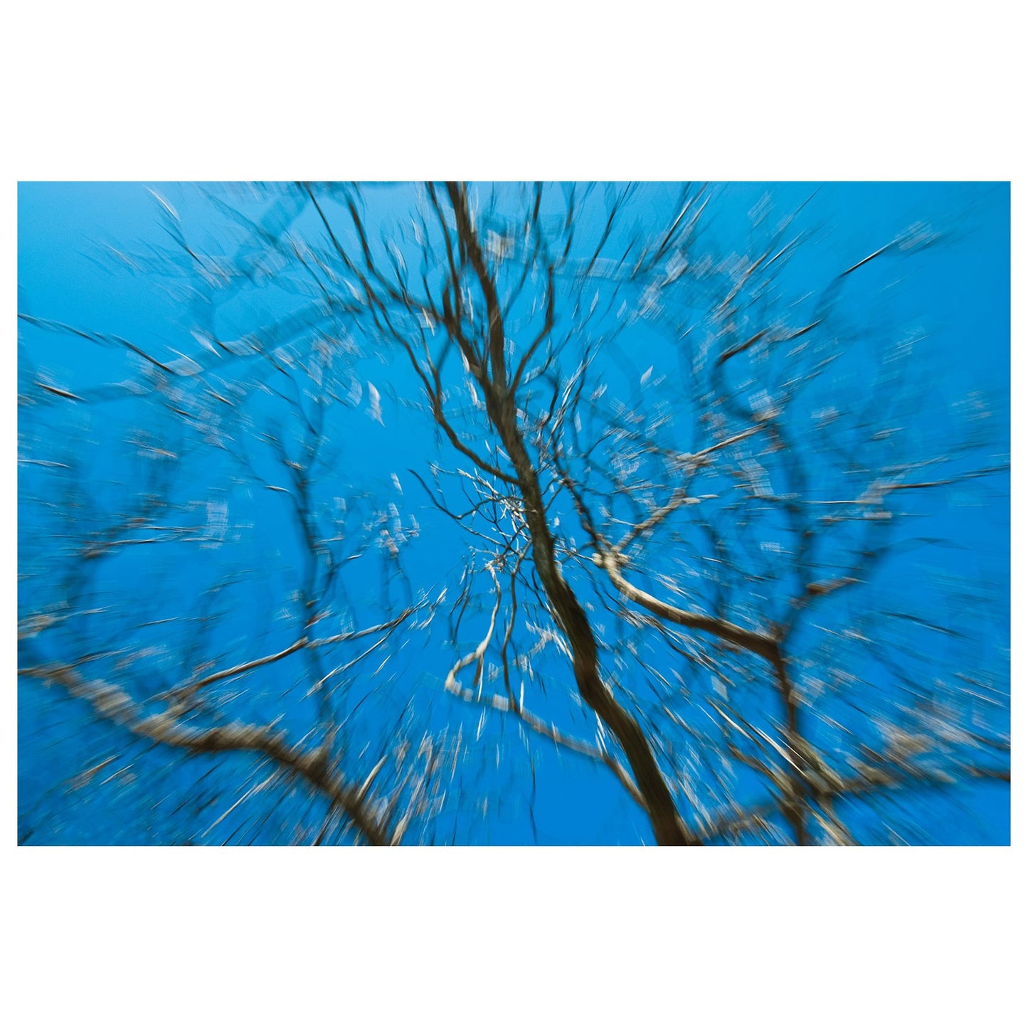 Streaking Tree Abstract Photo Fine Art Canvas & Unframed Wall Art Prints - PIPAFINEART