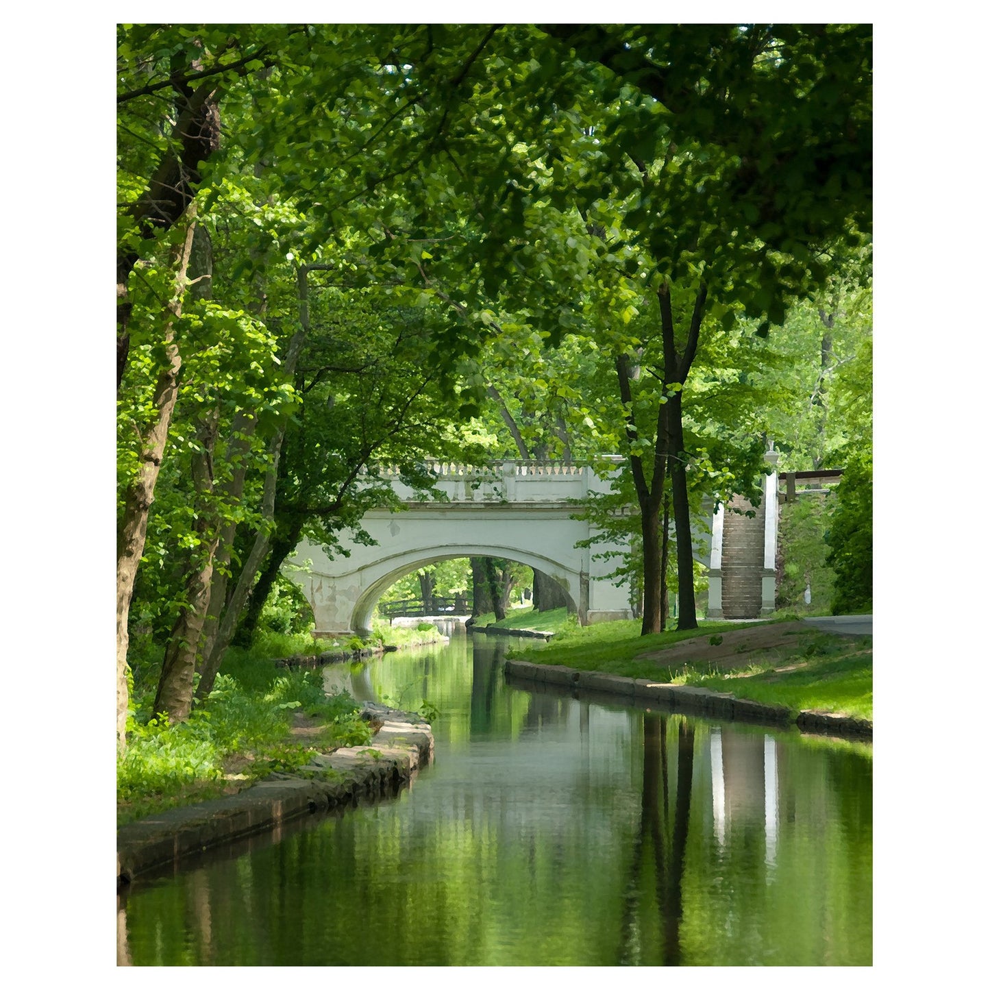 Greenery at Brandywine Abstract Photo Fine Art Canvas & Unframed Wall Art Prints - PIPAFINEART