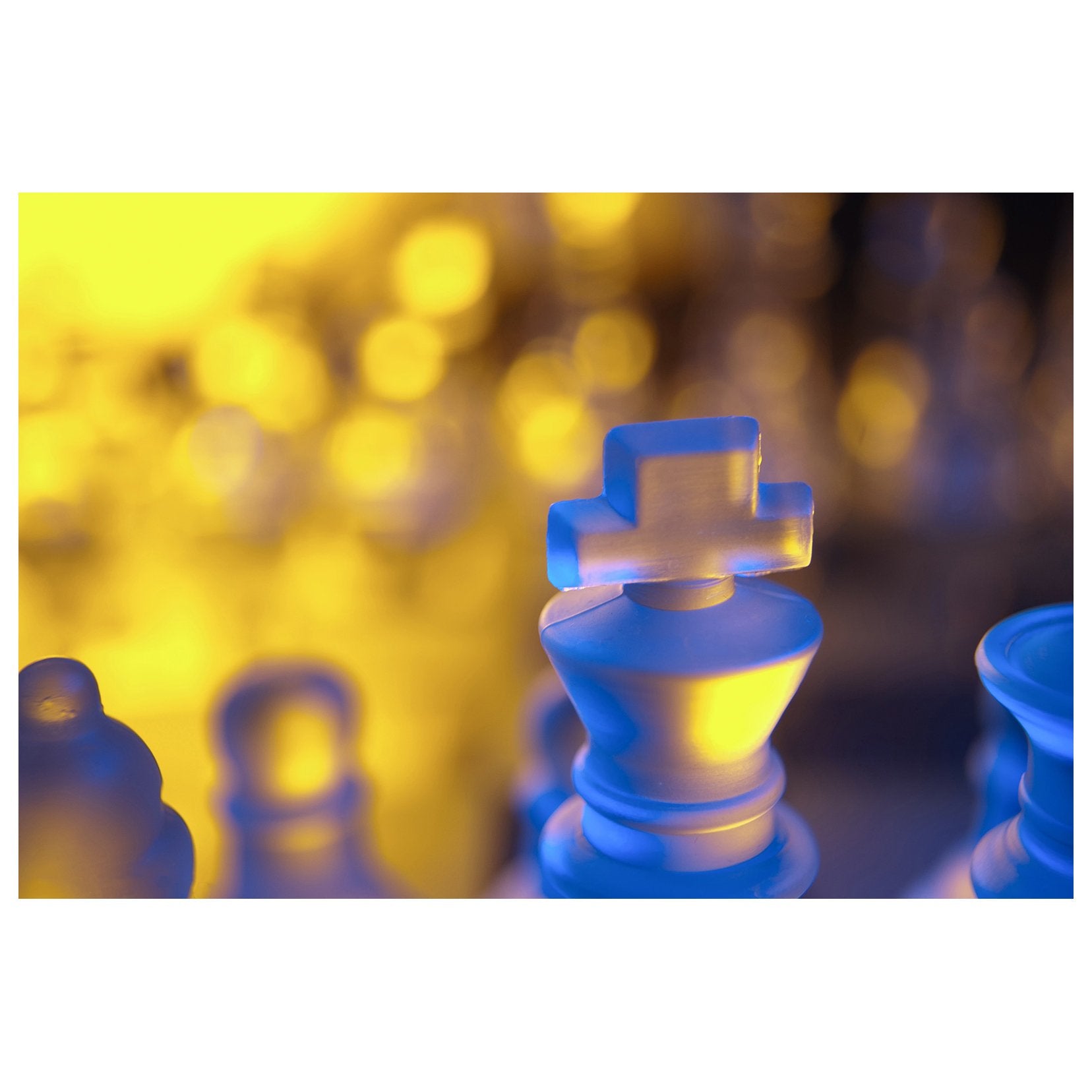 Cool Headed King Abstract Photo Fine Art Canvas & Unframed Wall Art Prints  - PIPAFINEART