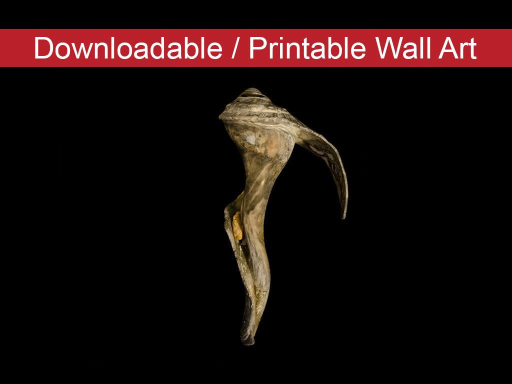 State Of Erosion Image 4 Coastal Nature Photo DIY Wall Decor Instant Download Print - Printable - PIPAFINEART