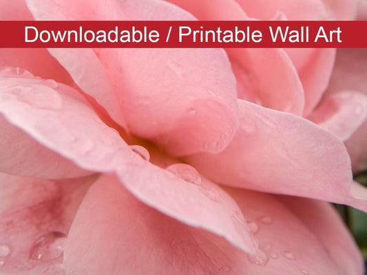 Pink Passion Floral Nature Photo DIY Wall Decor Instant Download Print - Printable  - PIPAFINEART