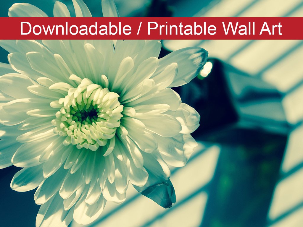 Melancholy Flower Floral Nature Photo DIY Wall Decor Instant Download Print - Printable - PIPAFINEART