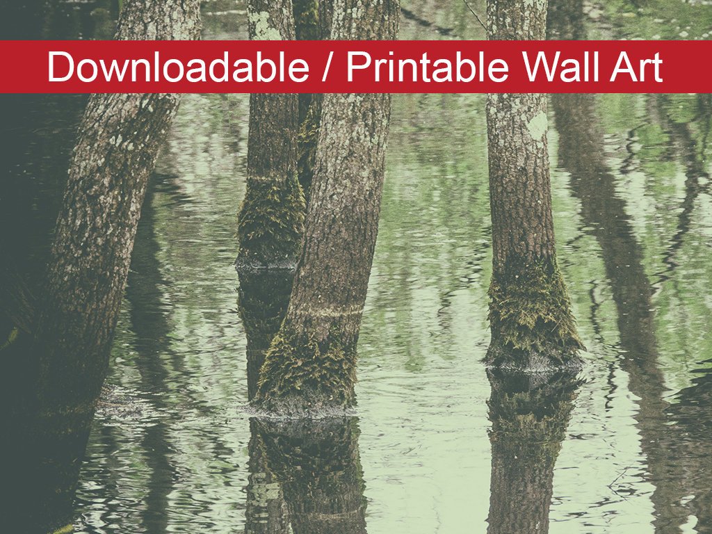 Early Spring Reflections on the Marsh DIY Wall Decor Instant Download Print - Printable - PIPAFINEART
