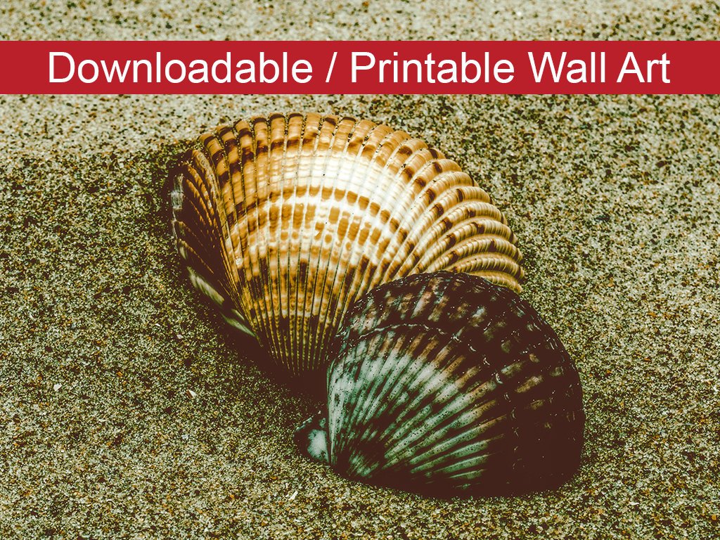 Dreamy Beach Seashells Colorized Coastal Nature Photo DIY Wall Decor Instant Download Print - Printable - PIPAFINEART