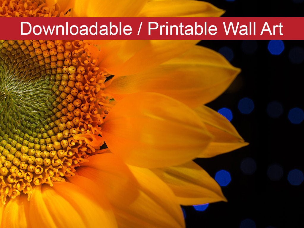 Close-up Sunflower Floral Nature Photo DIY Wall Decor Instant Download Print - Printable  - PIPAFINEART