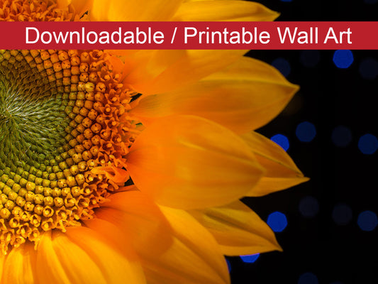 Close-up Sunflower Floral Nature Photo DIY Wall Decor Instant Download Print - Printable  - PIPAFINEART