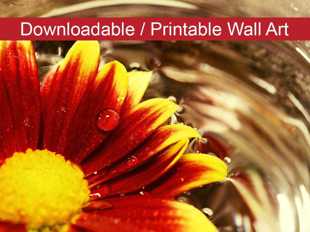 Floating Mum Floral Nature Photo DIY Wall Decor Instant Download Print - Printable - PIPAFINEART