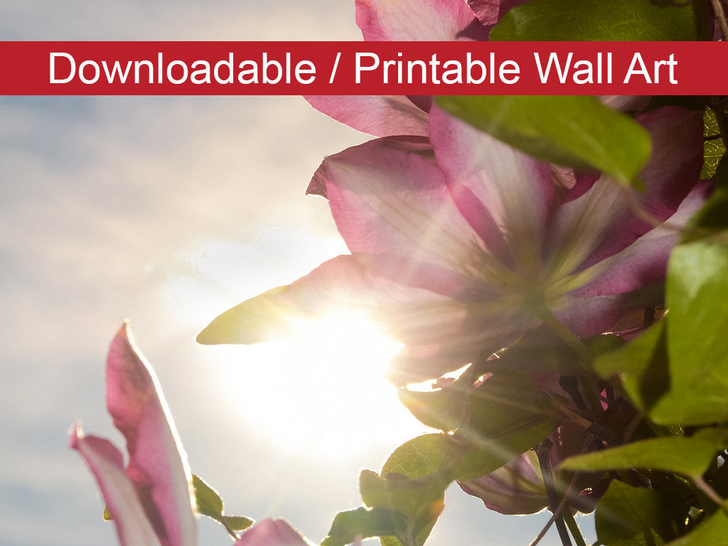 Towering Clematis Floral Nature Photo DIY Wall Decor Instant Download Print - Printable - PIPAFINEART