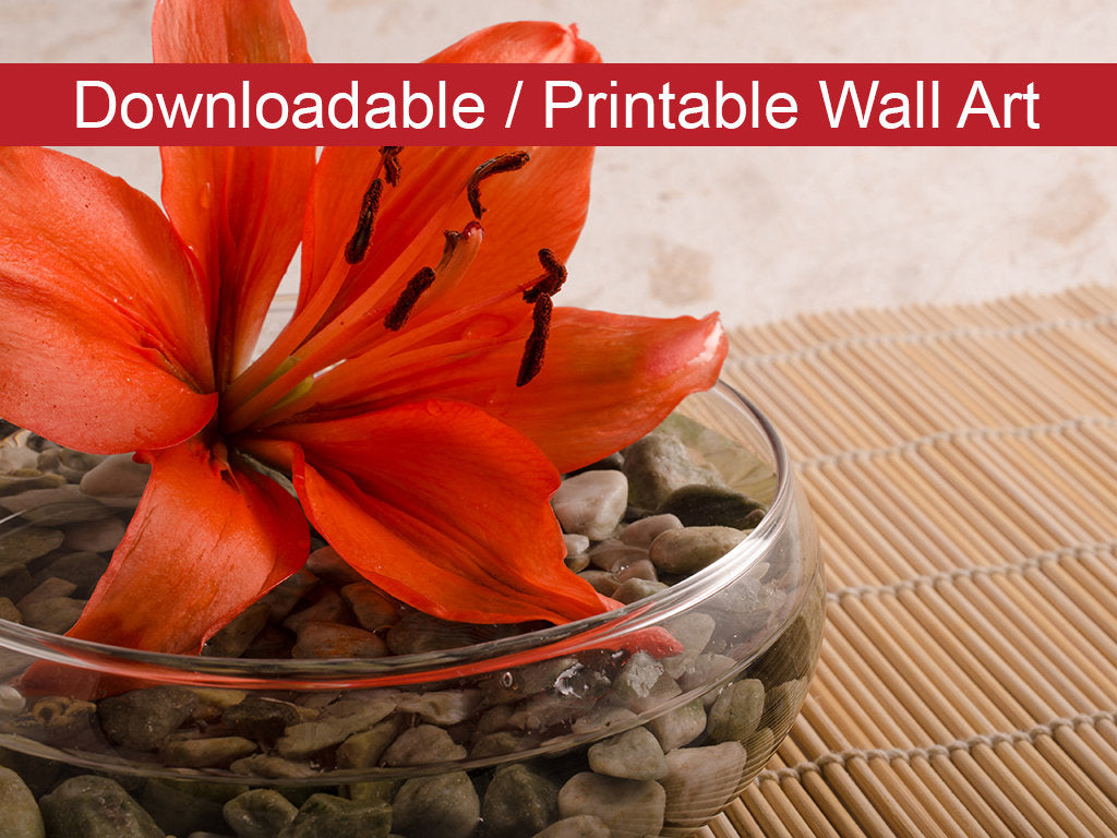 Tranquil Lily Floral Nature Photo DIY Wall Decor Instant Download Print - Printable - PIPAFINEART
