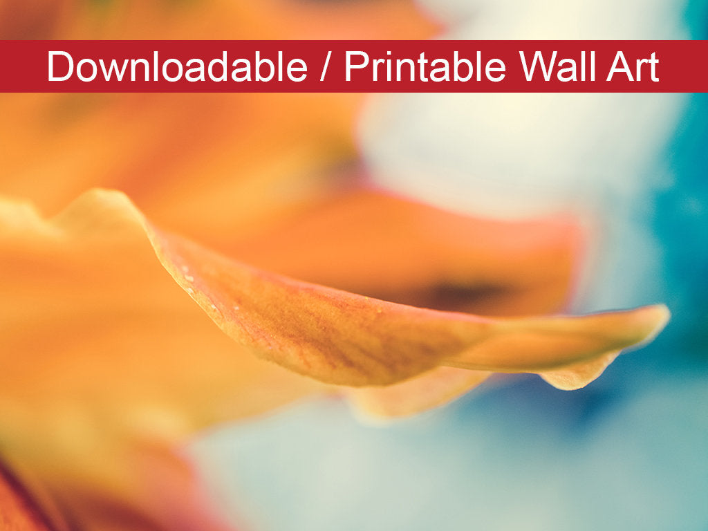 Serene Petals of Life Floral Nature Photo DIY Wall Decor Instant Download Print - Printable - PIPAFINEART