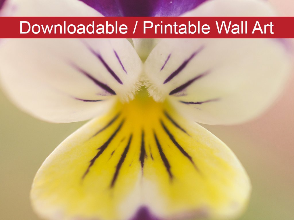 Oh, Violet Floral Nature Photo DIY Wall Decor Instant Download Print - Printable - PIPAFINEART