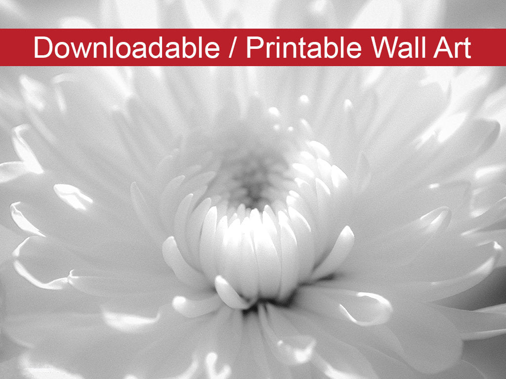 Infrared Flower 2 Floral Nature Photo DIY Wall Decor Instant Download Print - Printable - PIPAFINEART