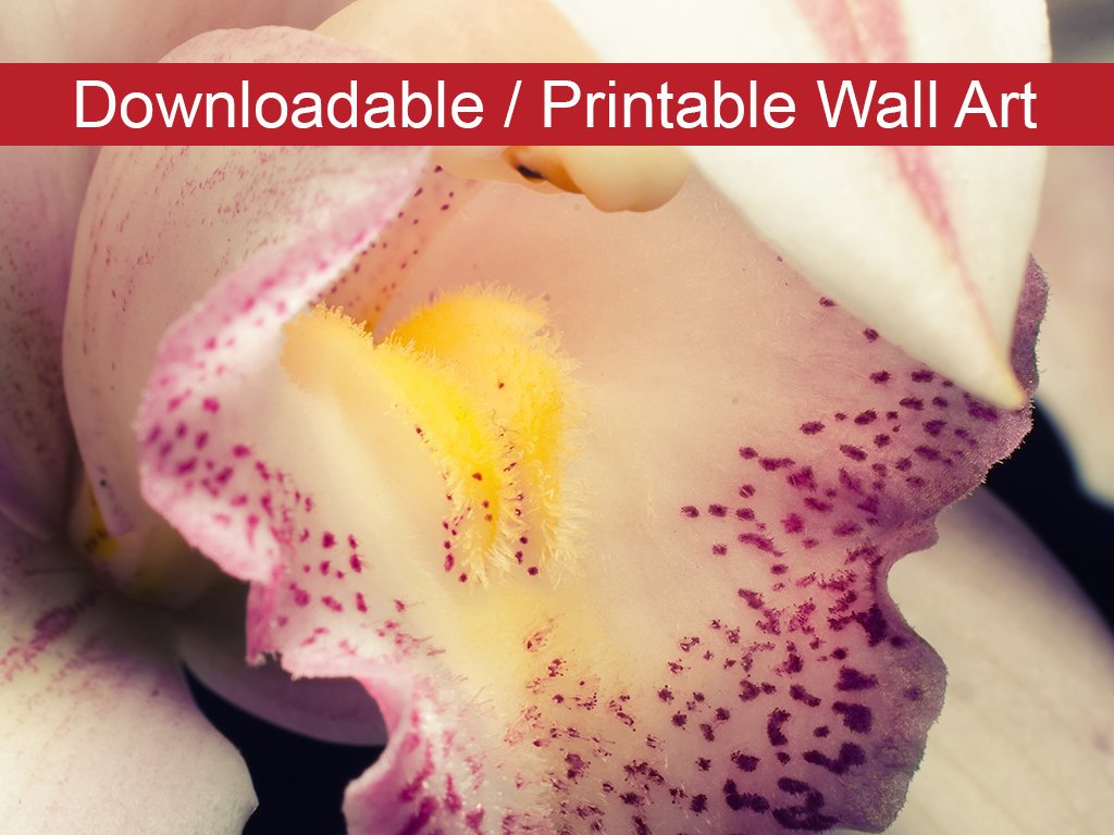 Close-up of Orchid Floral Nature Photo DIY Wall Decor Instant Download Print - Printable - PIPAFINEART