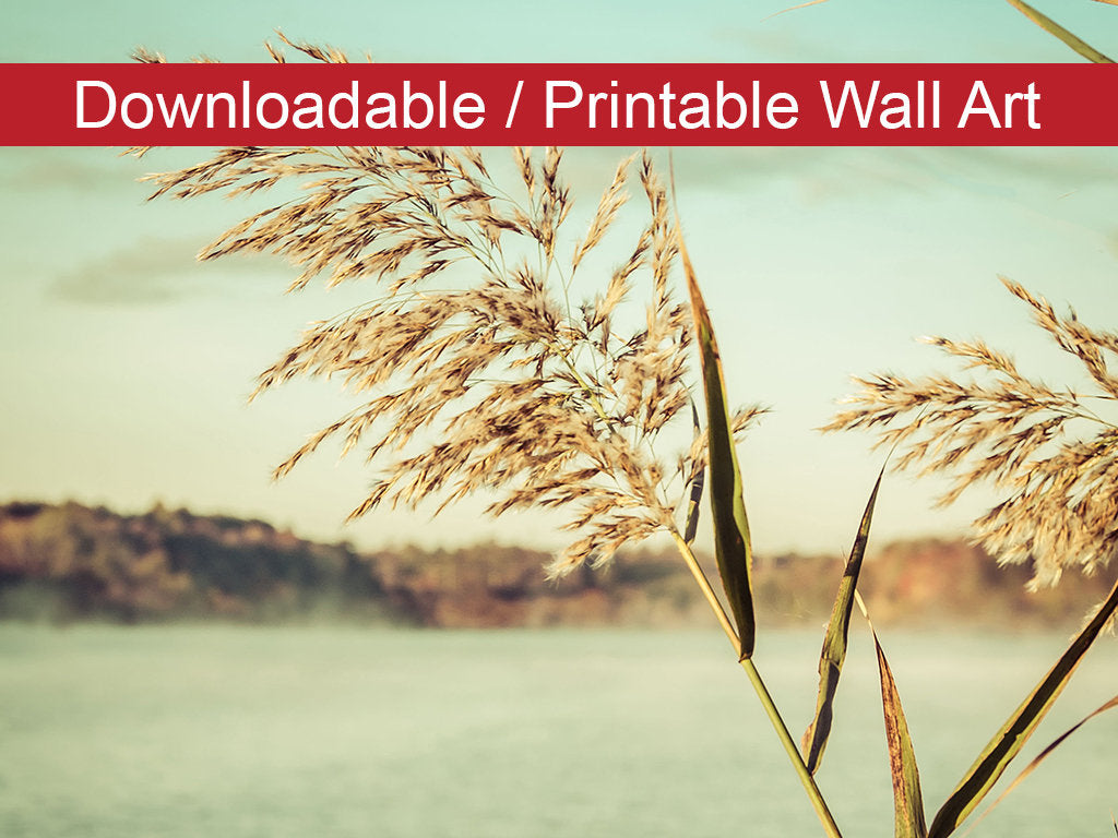 Golden Dreams Botanical Nature Photo DIY Wall Decor Instant Download Print - Printable - PIPAFINEART