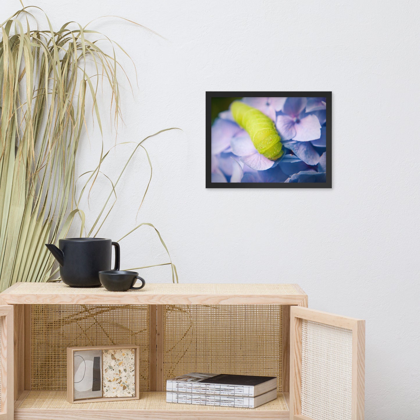 Actias Luna Larvae on Hydrangea Floral Nature Photo Framed Wall Art Print