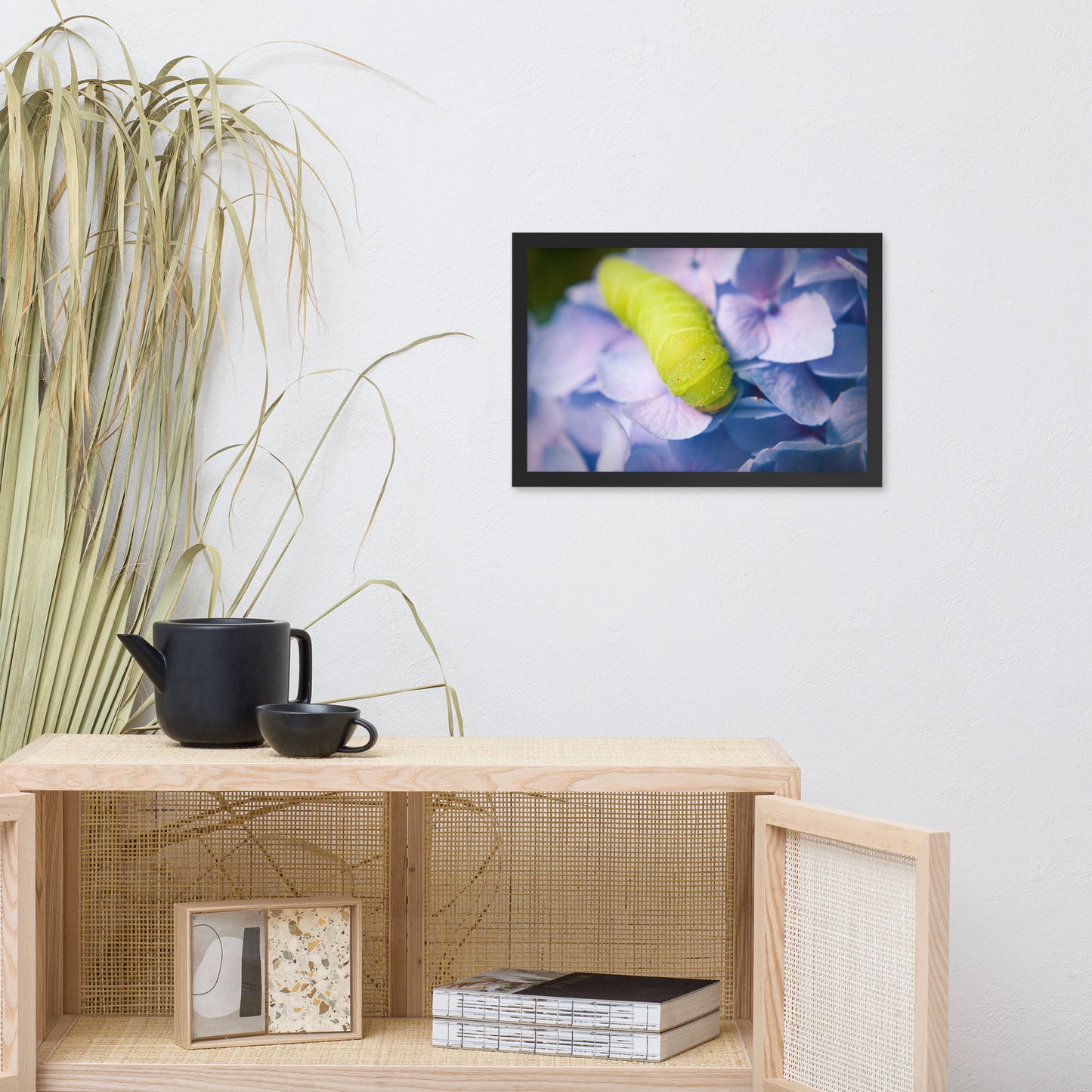 Actias Luna Larvae on Hydrangea Floral Nature Photo Framed Wall Art Print
