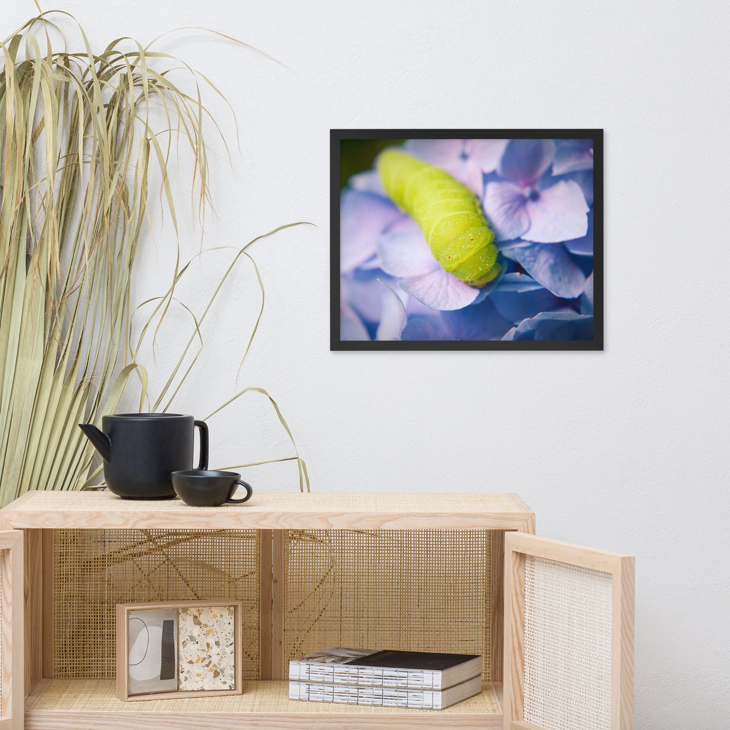 Actias Luna Larvae on Hydrangea Floral Nature Photo Framed Wall Art Print