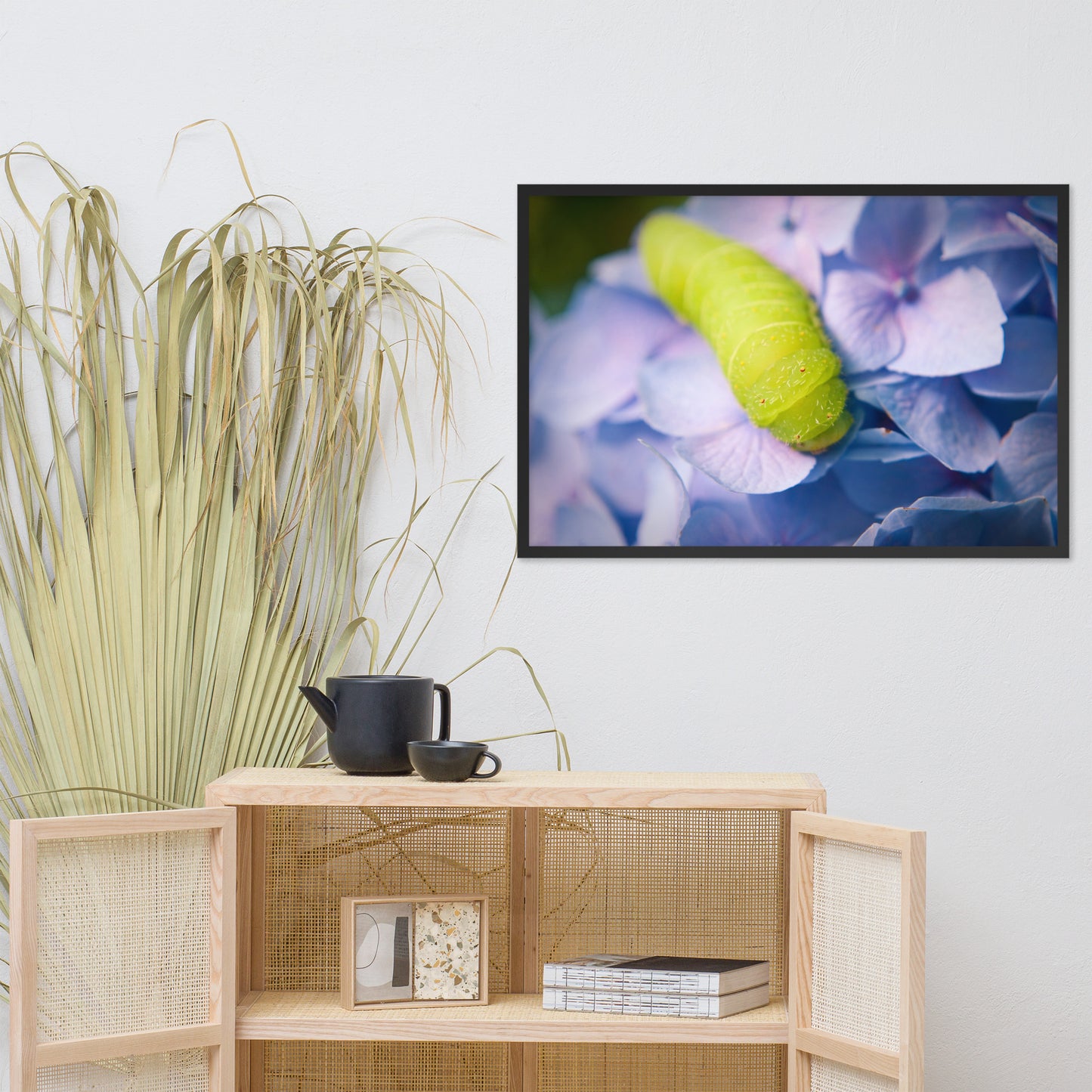 Actias Luna Larvae on Hydrangea Floral Nature Photo Framed Wall Art Print