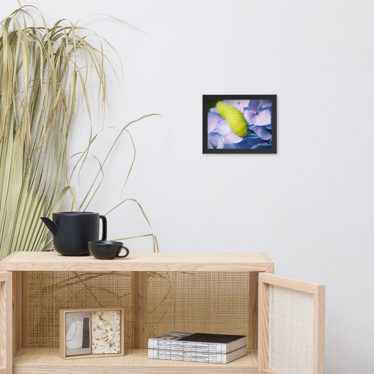 Actias Luna Larvae on Hydrangea Floral Nature Photo Framed Wall Art Print