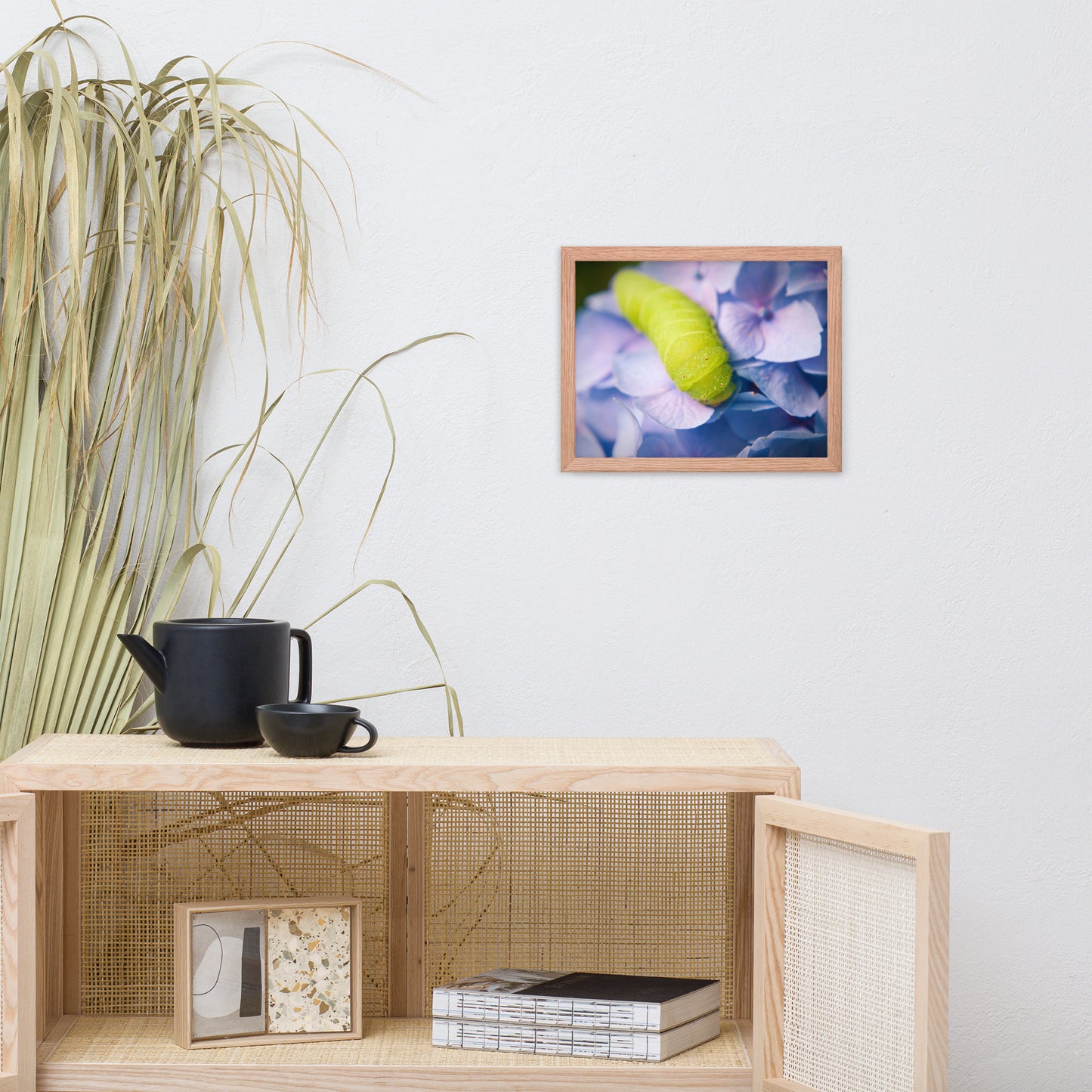 Actias Luna Larvae on Hydrangea Floral Nature Photo Framed Wall Art Print