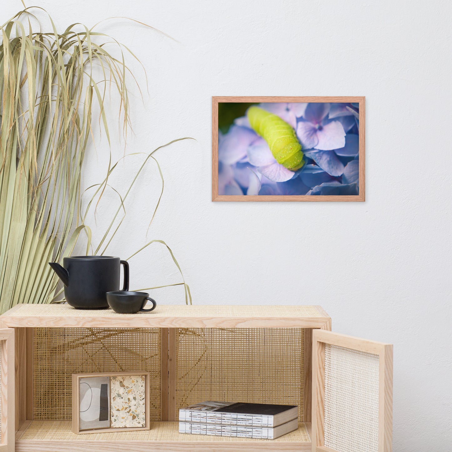 Actias Luna Larvae on Hydrangea Floral Nature Photo Framed Wall Art Print