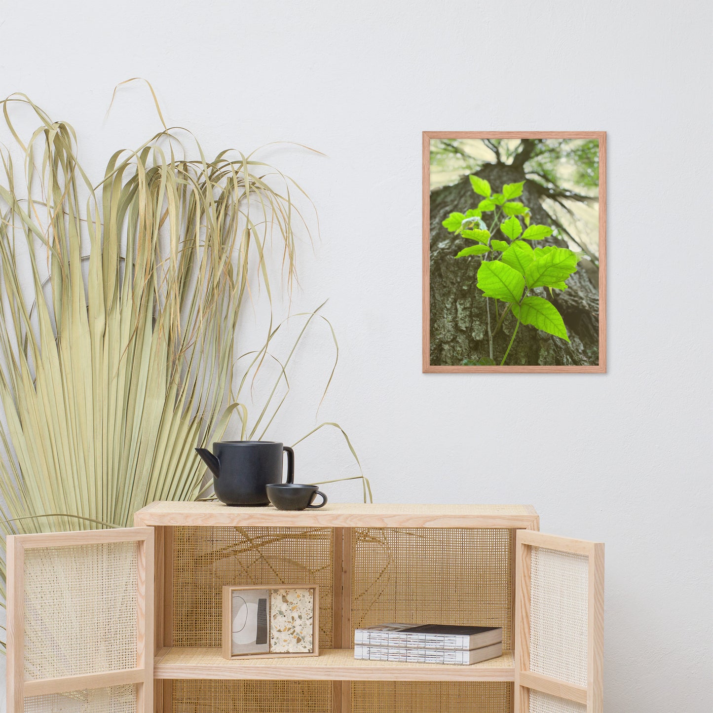 Climbing The Tree Botanical Nature Photo Framed Wall Art Print