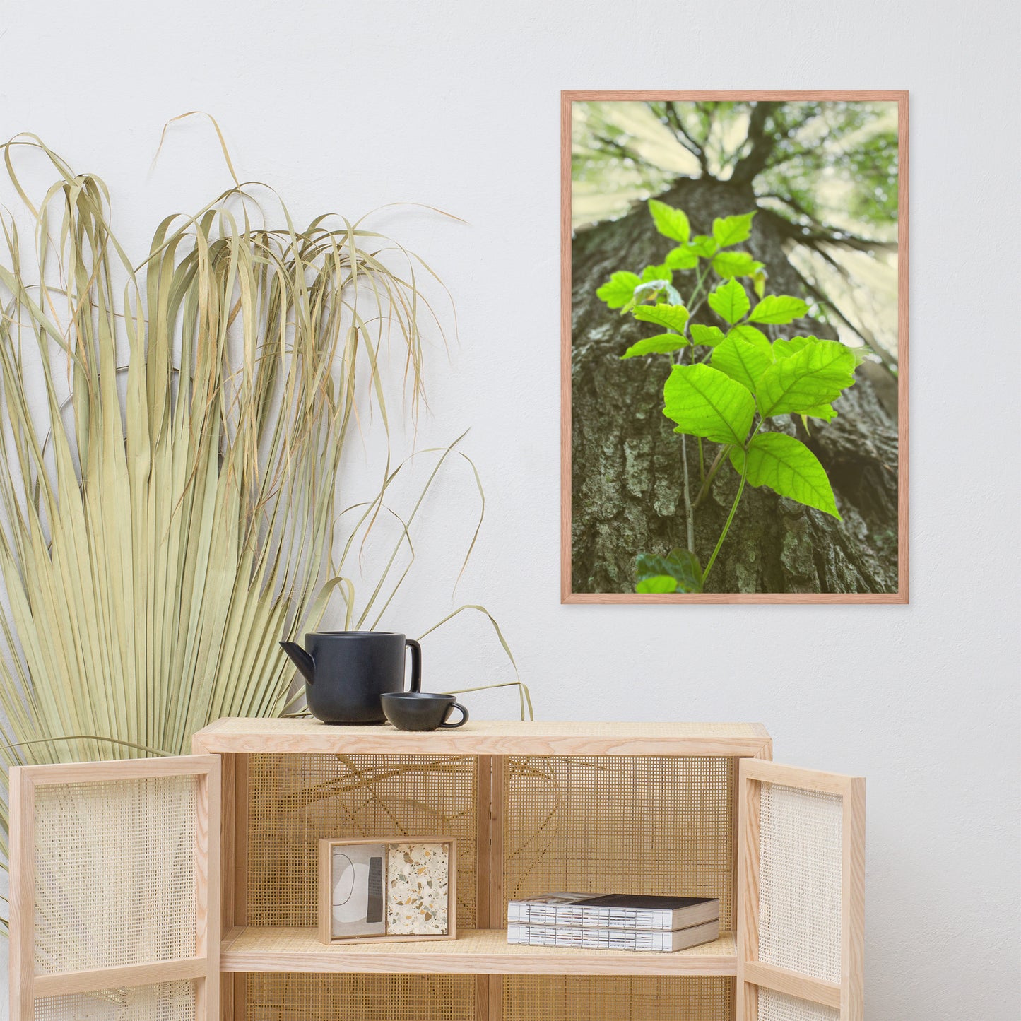 Climbing The Tree Botanical Nature Photo Framed Wall Art Print