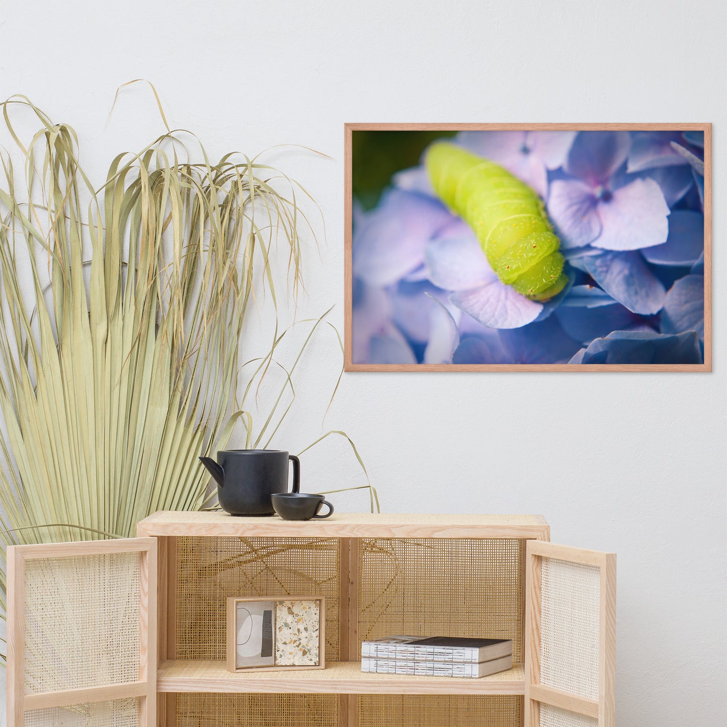 Actias Luna Larvae on Hydrangea Floral Nature Photo Framed Wall Art Print
