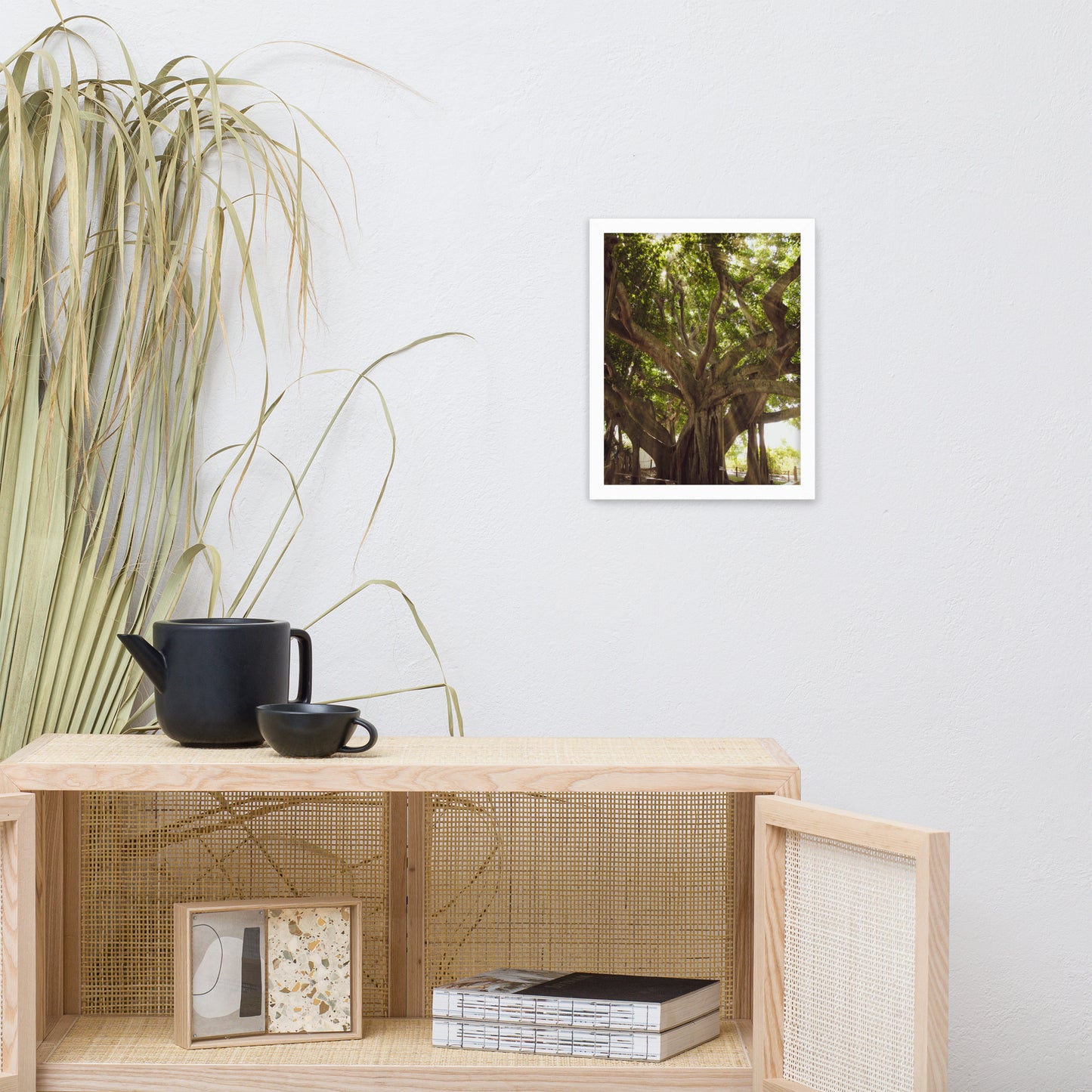 Banyan Tree With Glory Rays of Sunlight Tropical Botanical Nature Photo Framed Wall Art Print