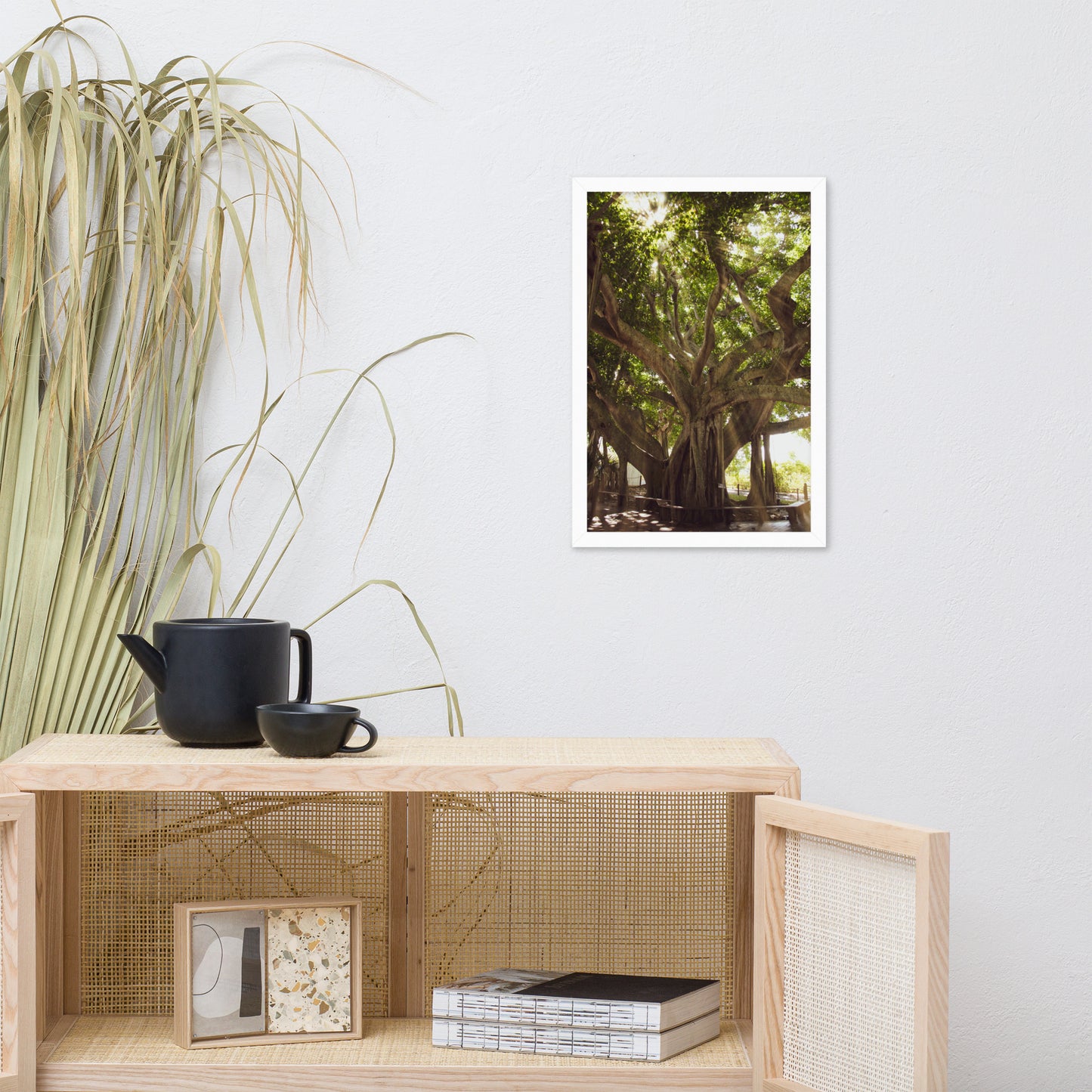 Banyan Tree With Glory Rays of Sunlight Tropical Botanical Nature Photo Framed Wall Art Print