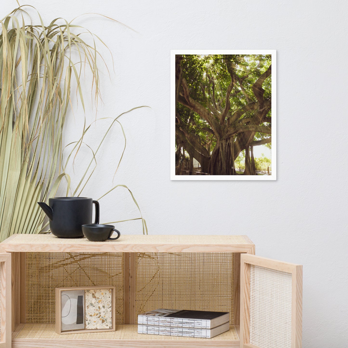 Banyan Tree With Glory Rays of Sunlight Tropical Botanical Nature Photo Framed Wall Art Print