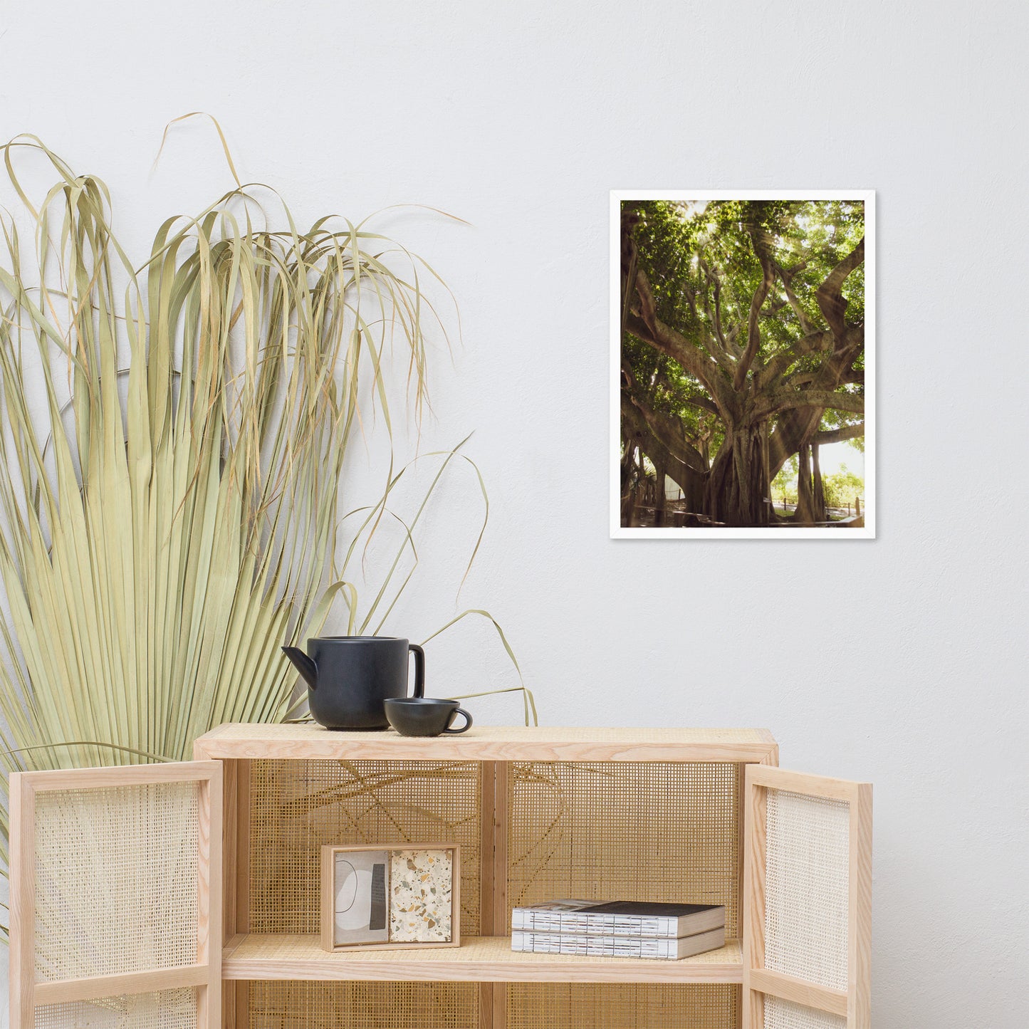 Banyan Tree With Glory Rays of Sunlight Tropical Botanical Nature Photo Framed Wall Art Print