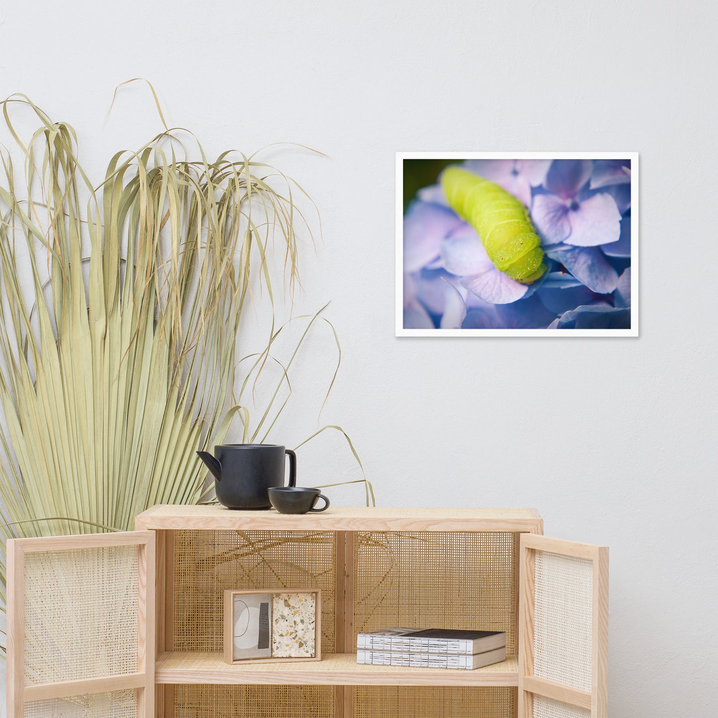 Actias Luna Larvae on Hydrangea Floral Nature Photo Framed Wall Art Print