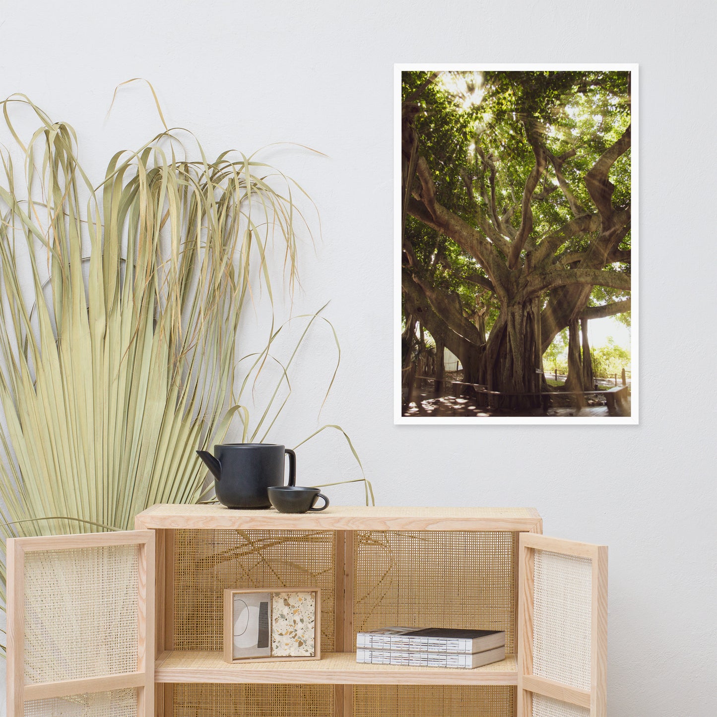 Banyan Tree With Glory Rays of Sunlight Tropical Botanical Nature Photo Framed Wall Art Print