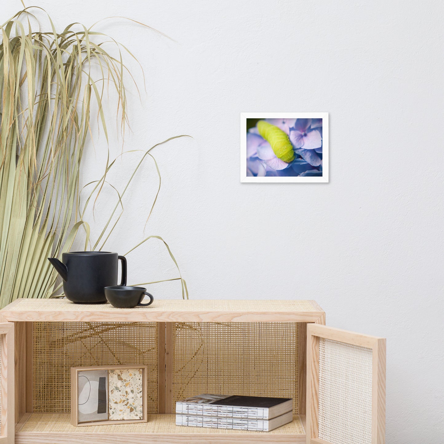 Actias Luna Larvae on Hydrangea Floral Nature Photo Framed Wall Art Print